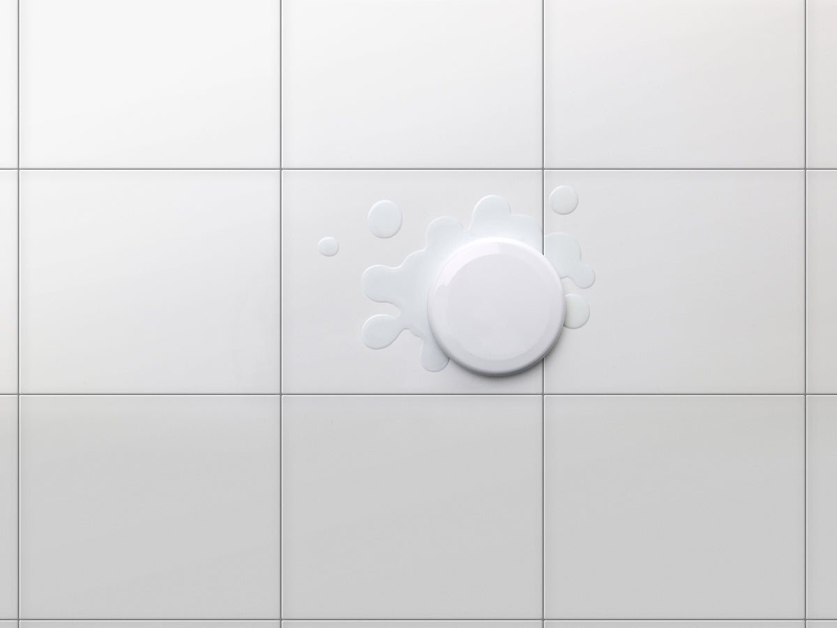 Détecteur d’eau et de gel 2.0 sans fil